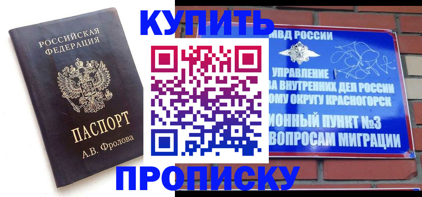 прописка поиск в Гвардейске
